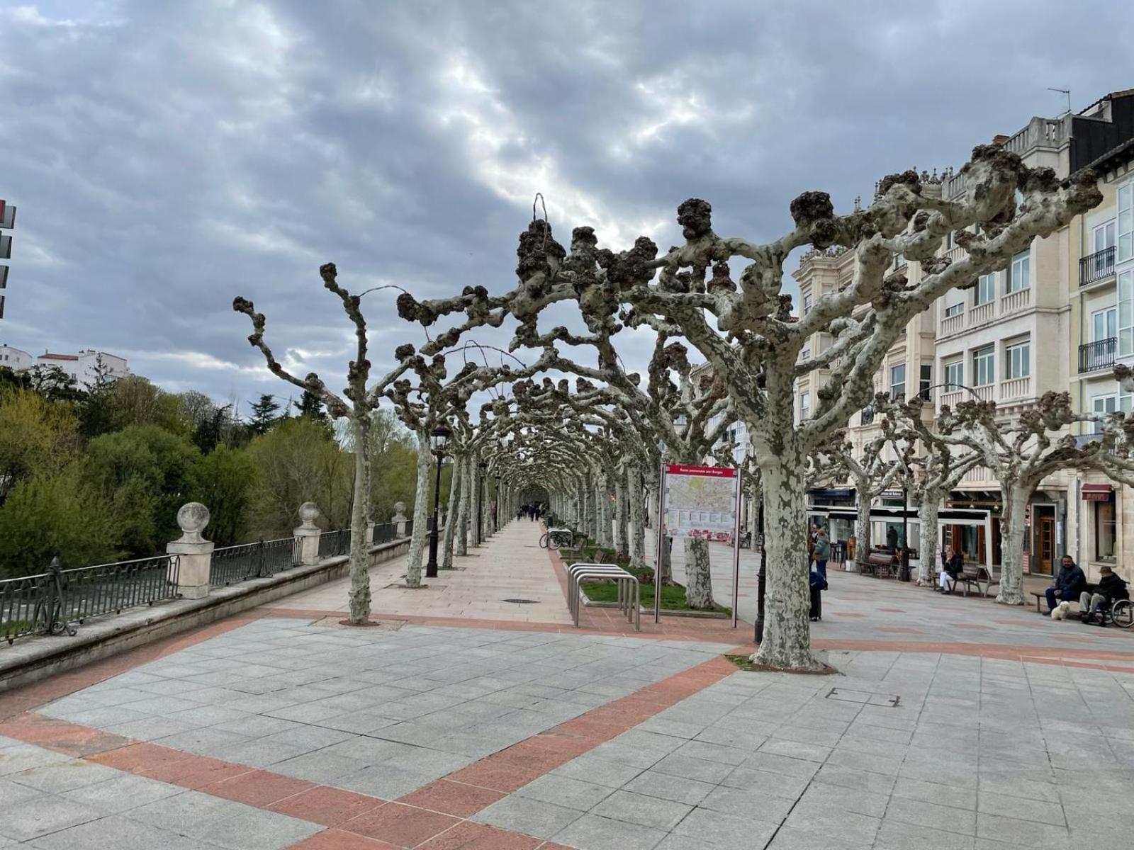 Апартаменты El Farolillo De La Catedral Vivienda De Uso Turistico Vut 9/251 Бургос Экстерьер фото